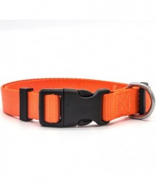 XS size-orange-Solid Color...