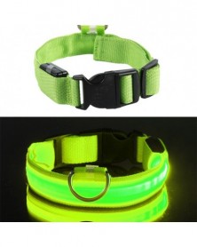 XS size-Green USB-LED Pet...