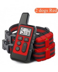 2 dogs red - Dog Trainer...