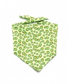 Light green-Fun Pet Bandana...