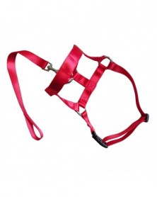 XL size-Red-Nylon Dogs Head...