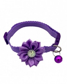 Purple-Cat Collar Safe...