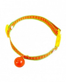 Orange-Puppy Collar...