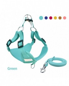 M(9-15kg dog)-Green-New...