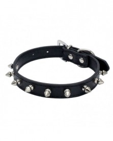 M size-Black-Rivet Pet...