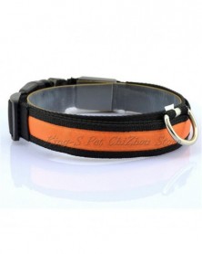 S size-orange-Nylon LED Pet...