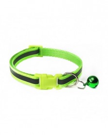 Light green-Reflective Pet...