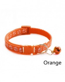 Orange-Colorul Cat Collar...