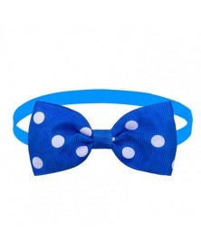 Blue-Practical Cats Collar...