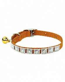 Coffee-Dog Collar Reusable...