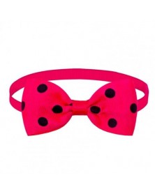 Rose red Black-Cats Collar...