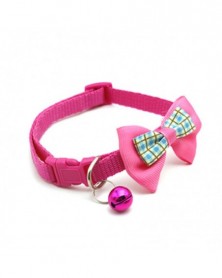 rose red-Cute Dog Collar...