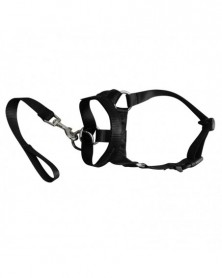 L size-Black-Nylon Dogs...