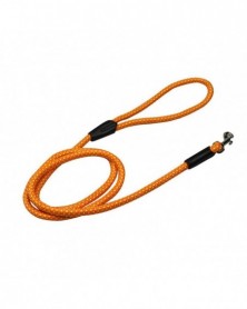 Orange-Pretty Walking Leash...