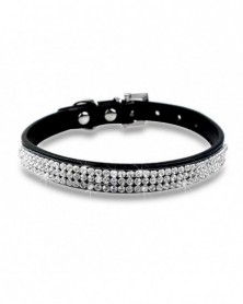 Black L-Pet Traction Collar...