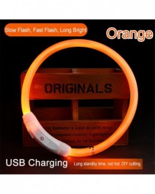 S size-XQ-Orange-LED Pet...