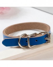 XS size-Blue - 10 Pcs Dog...