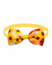 A-Chic Puppy Collar...