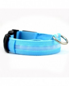 XS size-blue-2.5cm Wide...