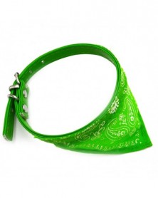 Green-Dog Cat Bandanas...