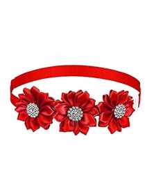 Red-Pet Flower Decoration...