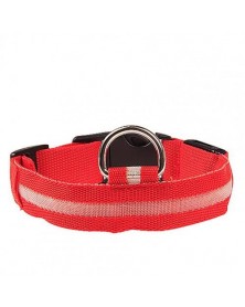 S size-Red-Nylon LED Dog...