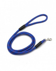 Royal Blue-Dog Strap Lovely...