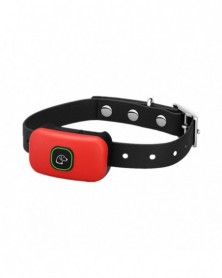 Only Collar Red - 1000ft...