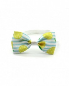 Sky Blue-40%HOT Pet Collar...