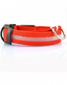 XS size-red-2.5cm Wide...