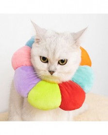 XS size-Rainbow-Cat...