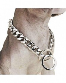 Silver 55cm-Dog Collar Gold...