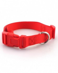 XS size-Red-Nylon Webbing...