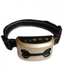 Gold - Dog Collar...