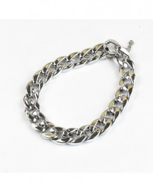 01 - 1pcs Pet Chain Punk...