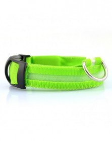 Green - Fashion LED Dog...