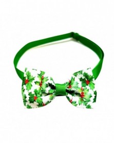 3 - Puppy Collar...