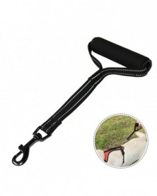 Durable Dog Leash Short...