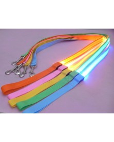 Light Up LED Nylon Dog...