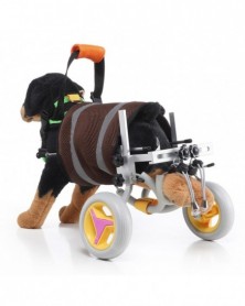 B - Pet Wheelchair Disabled...