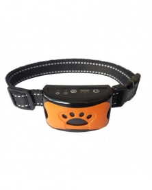 Orange - Rechargeable Dog...