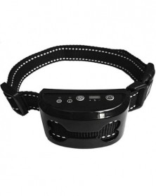 Black - Dog Collar...