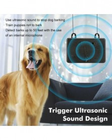 Ultrasound - Pet Dog...