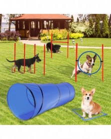 Blue - Dog Agility...