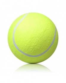 Giant Tennis Ball 24 CM Pet...