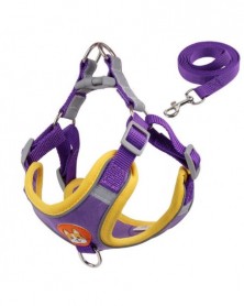M 3.5-6.5KG-Purple - Dogs...