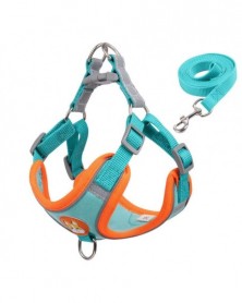 S 2-4KG-Blue - Dog Harness...